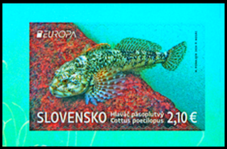 EUROPA 2024 - Fauna a flóra tatranských ples (známka ze samolepícího sešítku)