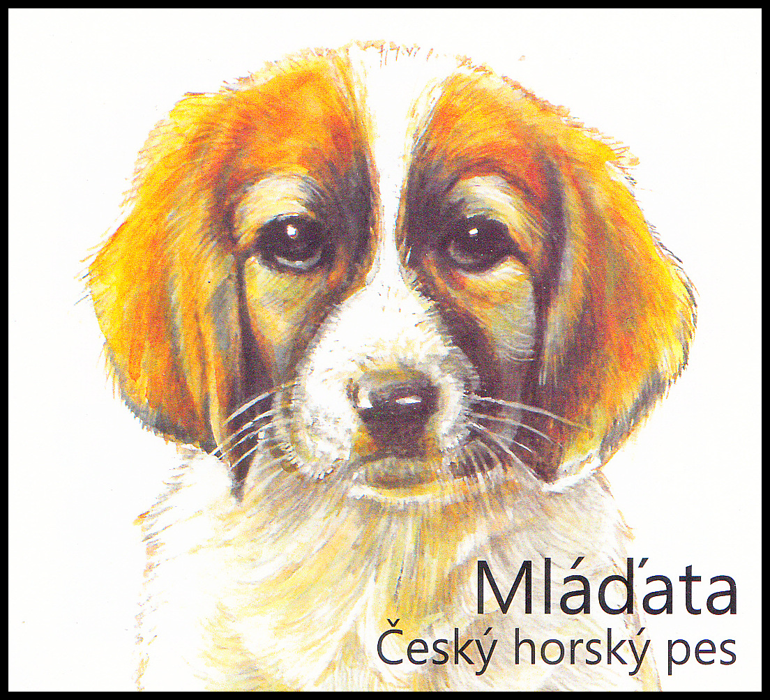 Mláďata: štěňata - český horský pes-samolepící zn. sešitek (sestava 6-ti desek) 