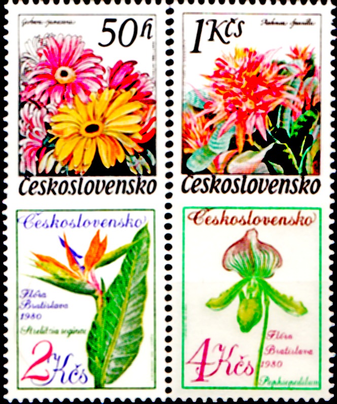 Květiny - Flora Olomouc a Flora Bratislava