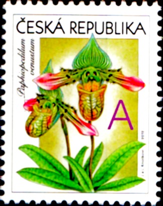 Gratulační motiv - Orchideje "A"