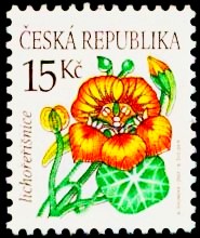 Krása květů - lichořeřišnice