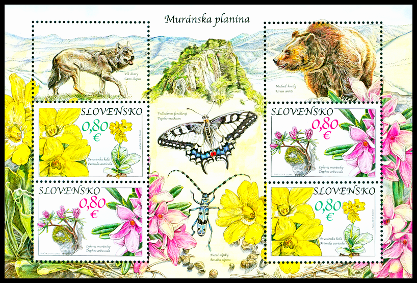 Ochrana přírody - Lýkovec Muranský, Prvosenka holá (aršík)