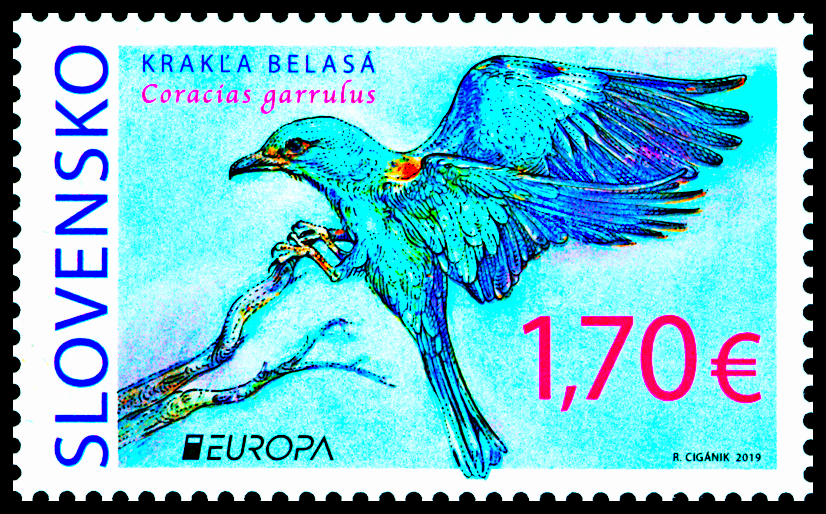 EUROPA 2019: Vzácní ptáci - Mandelík hajní