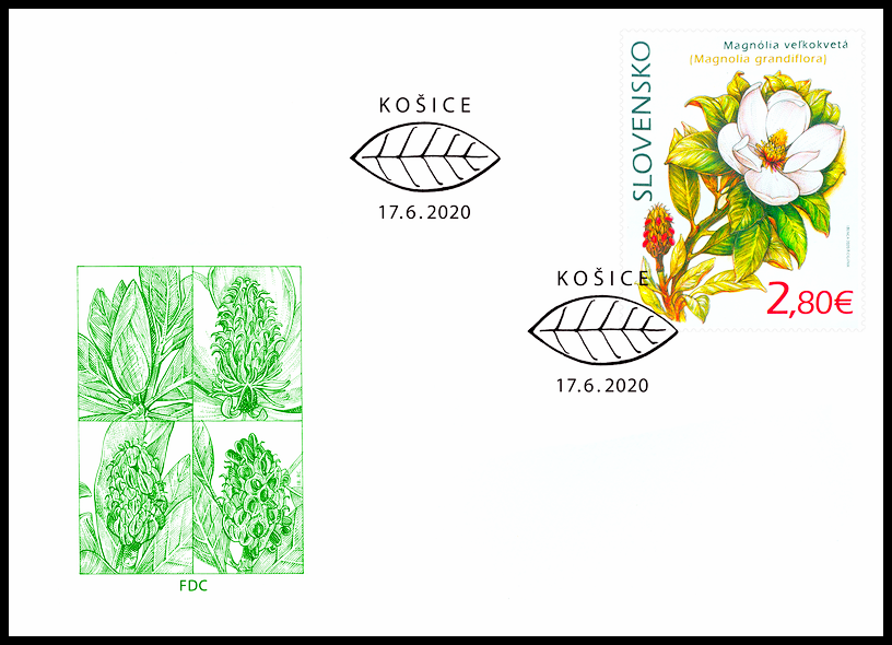 FDC - Ochrana přírody: Botanická zahrada UPJŠ v Košicích - magnólie velkokvětá