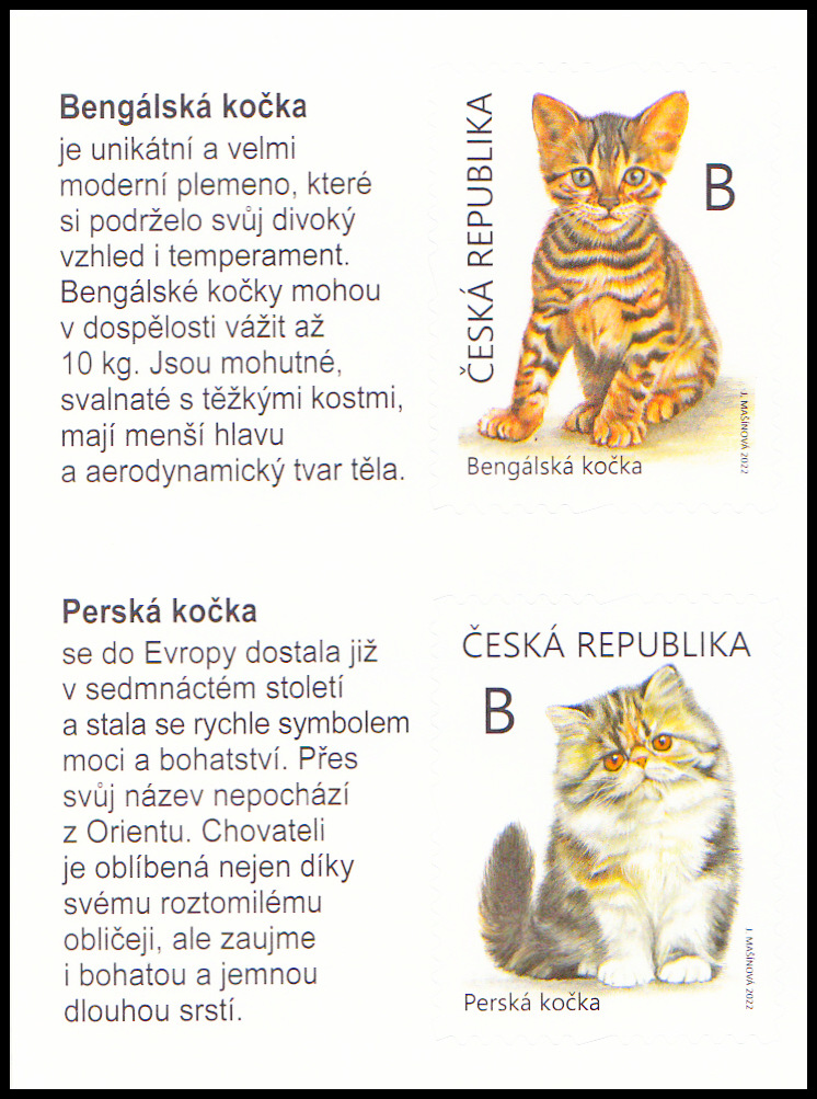 Mláďata: koťata–bengálská a perská-dvoupáska s levým okrajem (samolepící známky)