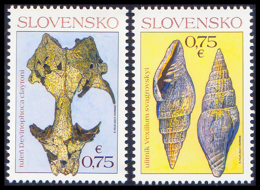 Slovenské fosílie - tuleň Devinophoca claytoni a ulitník Vexillum svagrovskyi