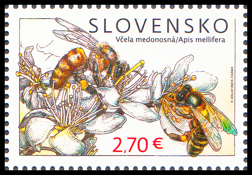 Ochrana přírody - Včely