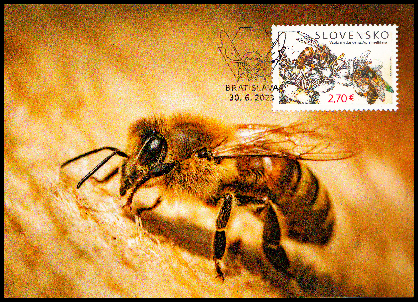 Cartes maximum - Ochrana přírody - Včely