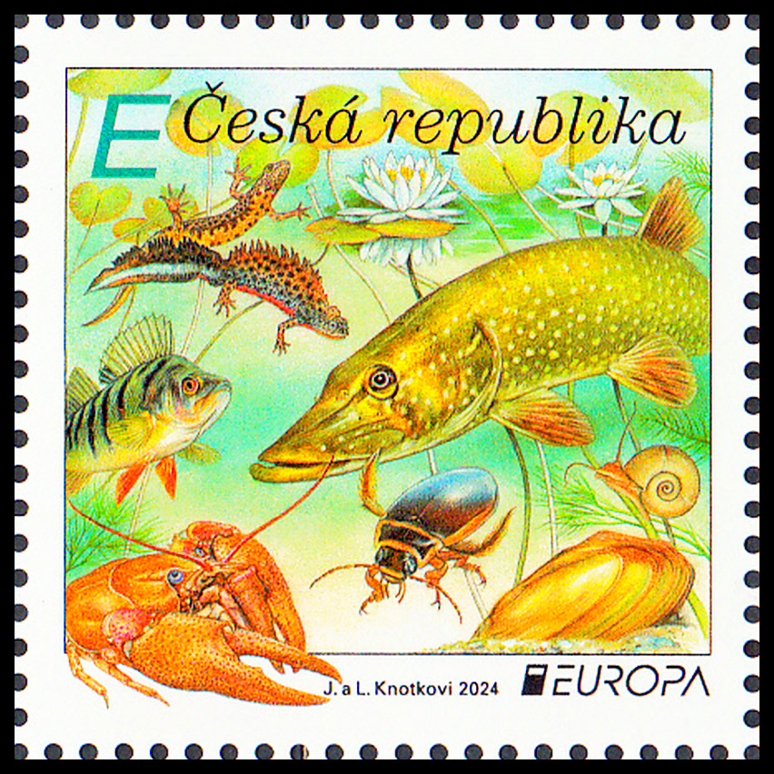 EUROPA 2024 - Vodní fauna a flora
