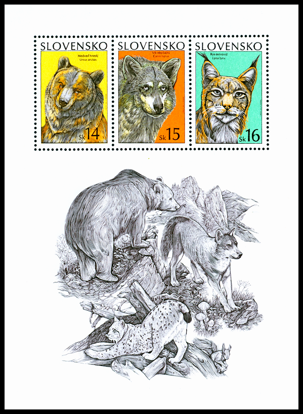Ochrana přírody - Medvěd hnědý, vlk obecný, rys ostrovid (aršík)