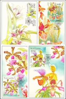 Cartes maximum (Z) - Pěstitelství - krása orchidejí