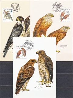 Cartes maximum (Z) - Ochrana přírody - Draví ptáci 