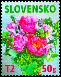 Květinový motiv (2018)