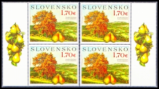 Ochrana přírody: Ovocné stromy - hrušeň obecná ( KL+KP 2+2 zn.)