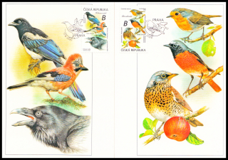 Cartes maximum (Z) - Zpěvní ptáci v našem okolí (II.) - Krkavcovití a Drozdovití