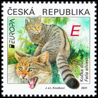 EUROPA 2021 - Ohrožená národní divoká zvěř - kočka divoká