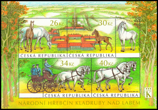 Chov a výcvik ceremoniálních kočárových koní v Kladrubech nad Labem (aršík)