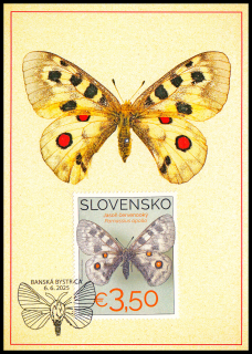 Cartes maximum - Ochrana přírody - Sbírka motýlů Středoslovenského muzea v Banské Bystrici