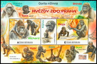 Hvězdy ZOO Praha - gorilí samec Richard a gorila Moja (aršík) 