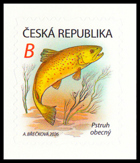 Vodní říše - pstruh obecný